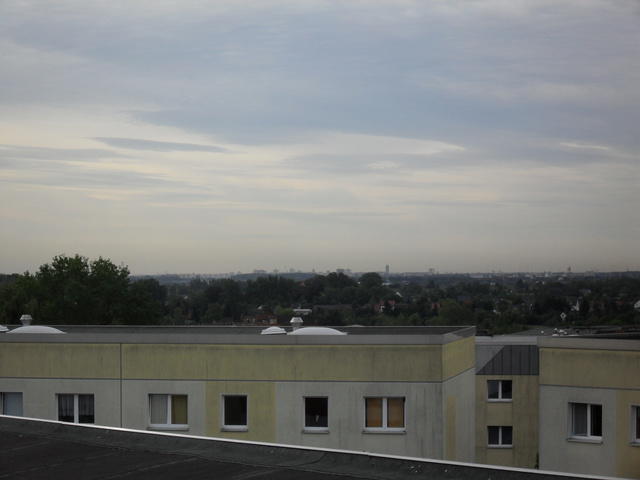 SDC10828