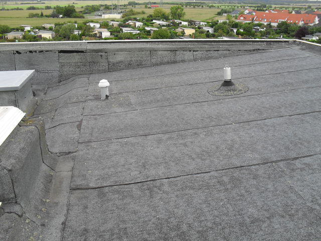 SDC10830