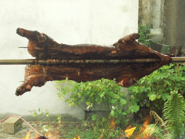 PICT0013.JPG