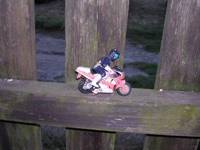 dscn3865.jpg