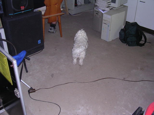 dscn3897.jpg