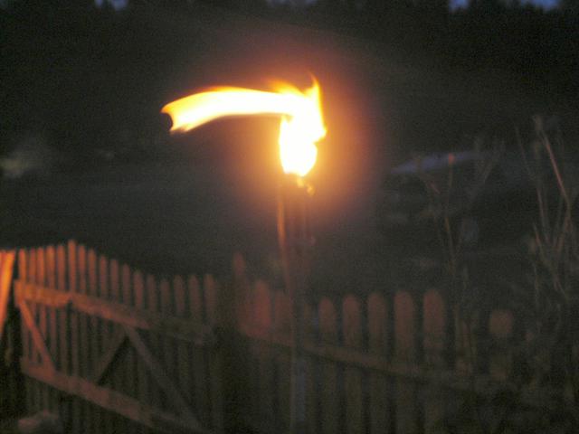PICT0048.JPG