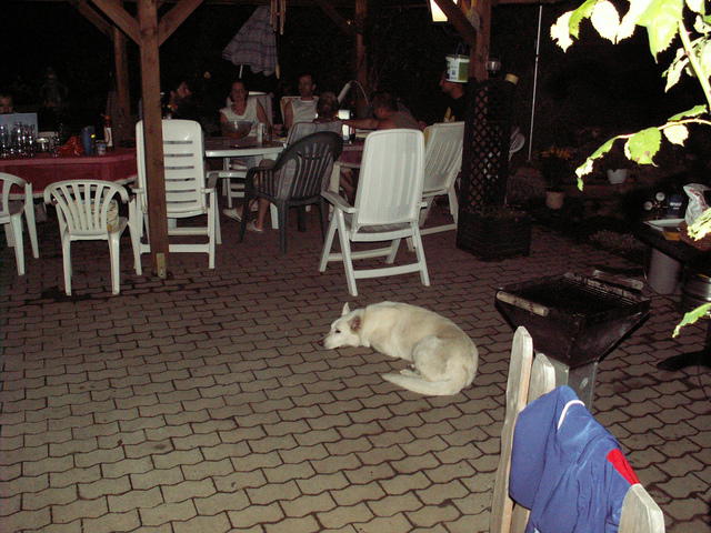 PICT0037.JPG