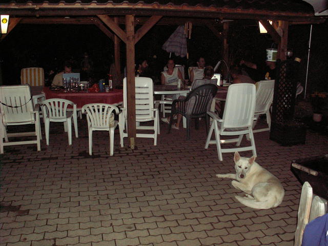 PICT0038.JPG
