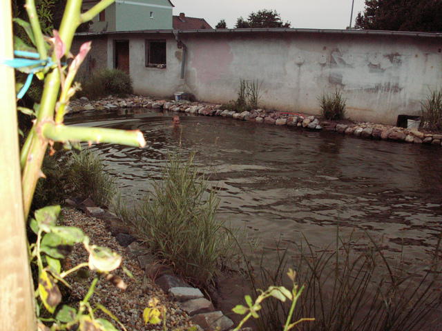PICT0021.JPG