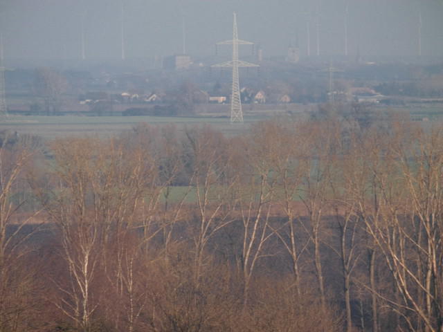 DSCI0033