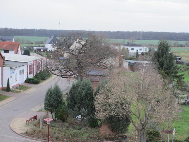 IMG 2209