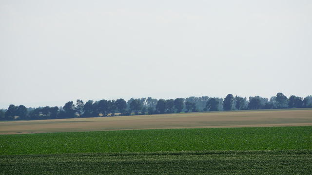 DSC02064