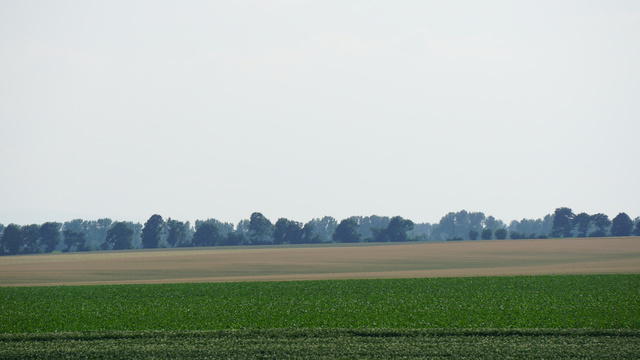 DSC02065