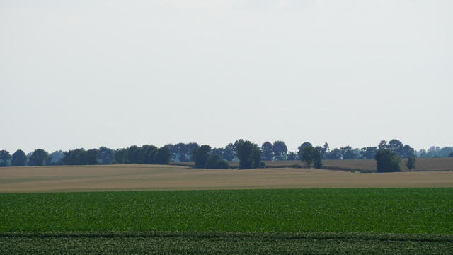DSC02066