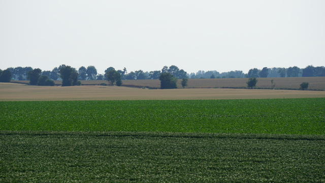 DSC02067