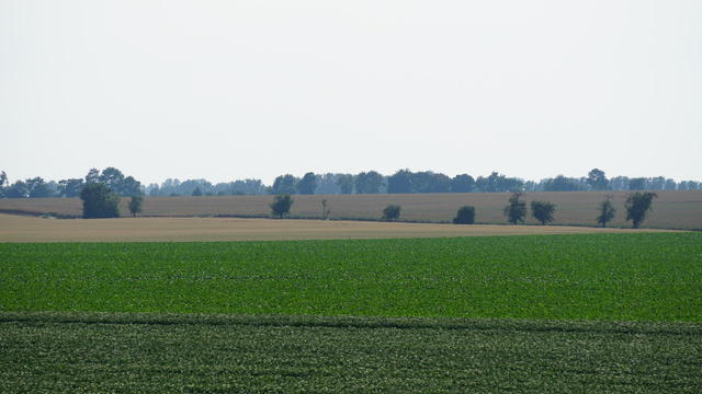 DSC02068