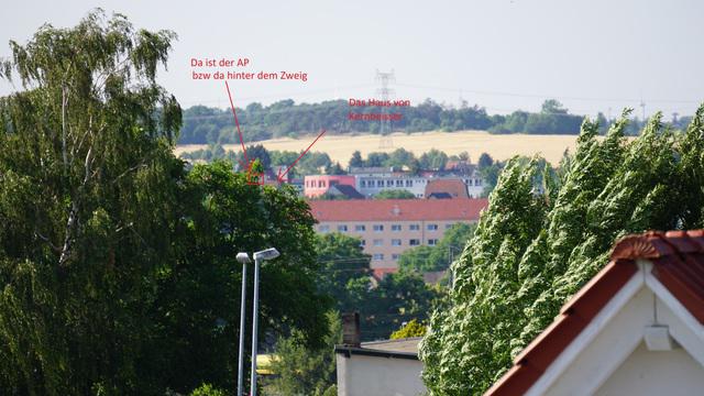 Kernbeisser Sichtjpg