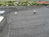 SDC10830