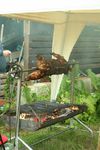 Sommerfest 05 (Best Of Ferkel)