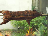 PICT0011.JPG