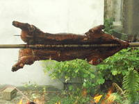 PICT0013.JPG