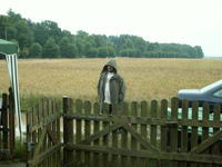 PICT0015.JPG
