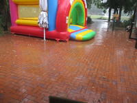 IMG 0331