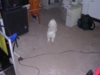 dscn3897.jpg