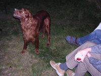 dscn3902.jpg
