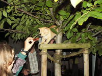 PICT0095.JPG