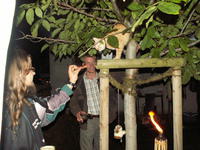 PICT0096.JPG