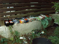 PICT0028.JPG