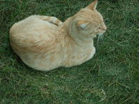 PICT0029.JPG