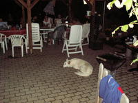 PICT0037.JPG