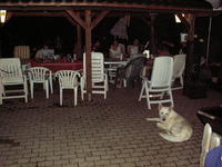 PICT0038.JPG