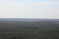IMG 5956