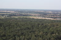 IMG 5957